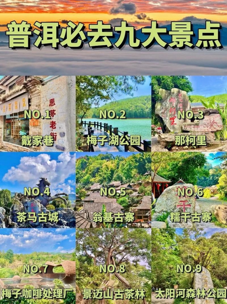普洱五天旅游攻略：漫游茶城普洱，邂逅茶马古道与雨林秘境