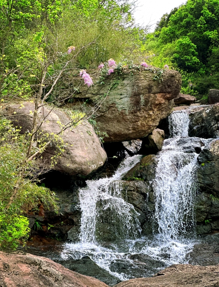 山海为媒，慈溪藏着爱情的模样
