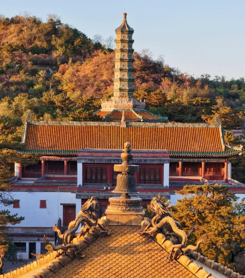 从避暑山庄到塞罕坝，让每一段同行都成为爱情的序章