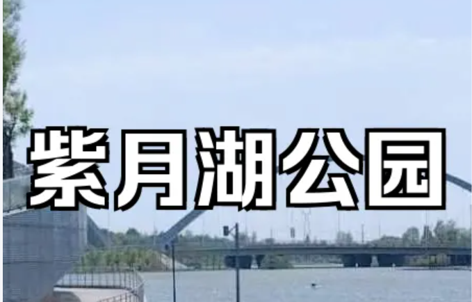 紫月湖公园伴游陪游导游
