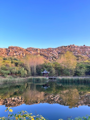 邹城孟庙孟府景区伴游陪游导游