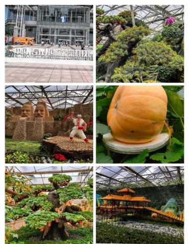 寿光蔬菜高科技示范园伴游陪游导游