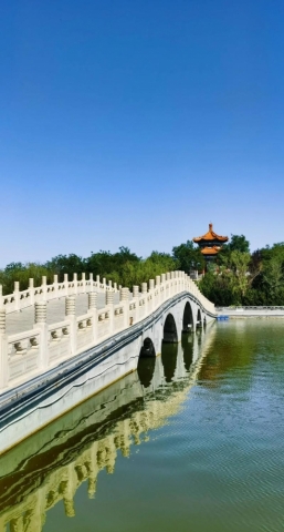 沧州园博园伴游陪游导游