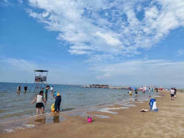 南大港湿地伴游陪游导游