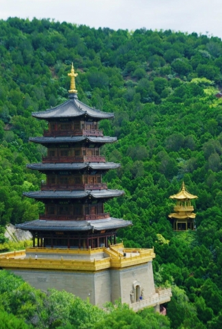 月老广场伴游陪游导游